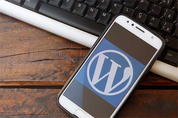 pagina web wordpress